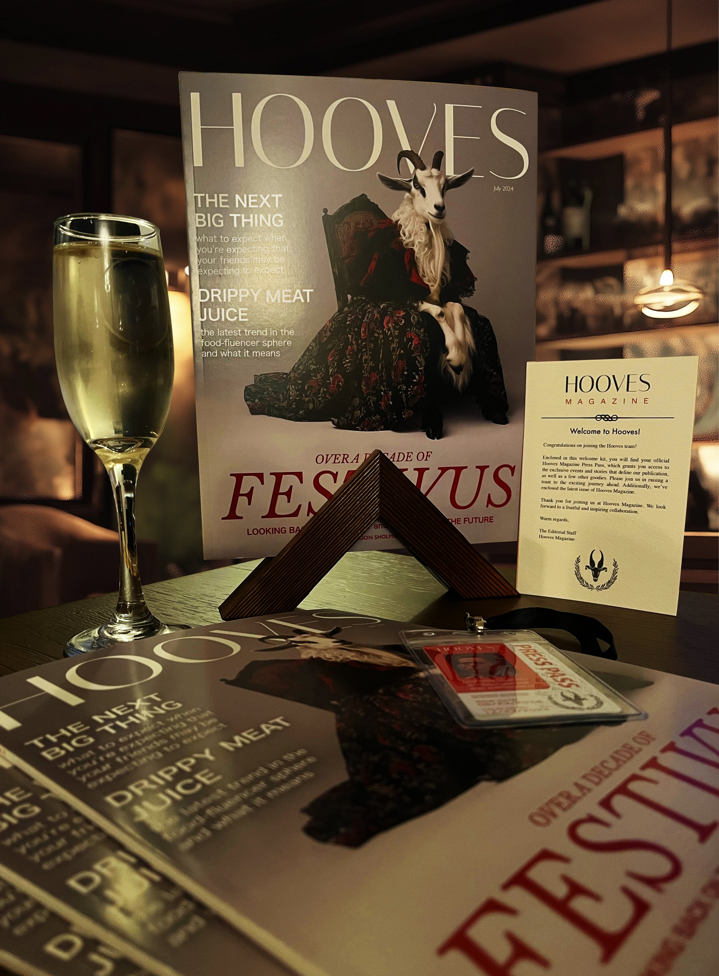 The original HOOVES magazine invitation package